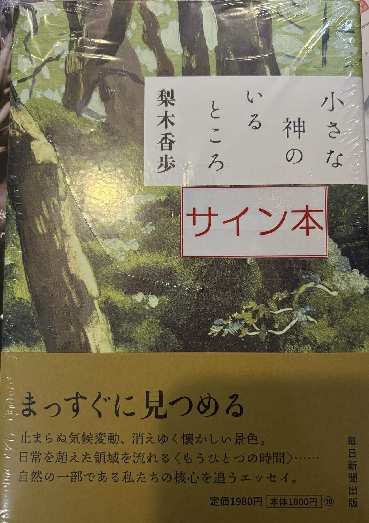 📕サイン本旅による書店巡りvol.6〜丸善広島店｜Atsunao