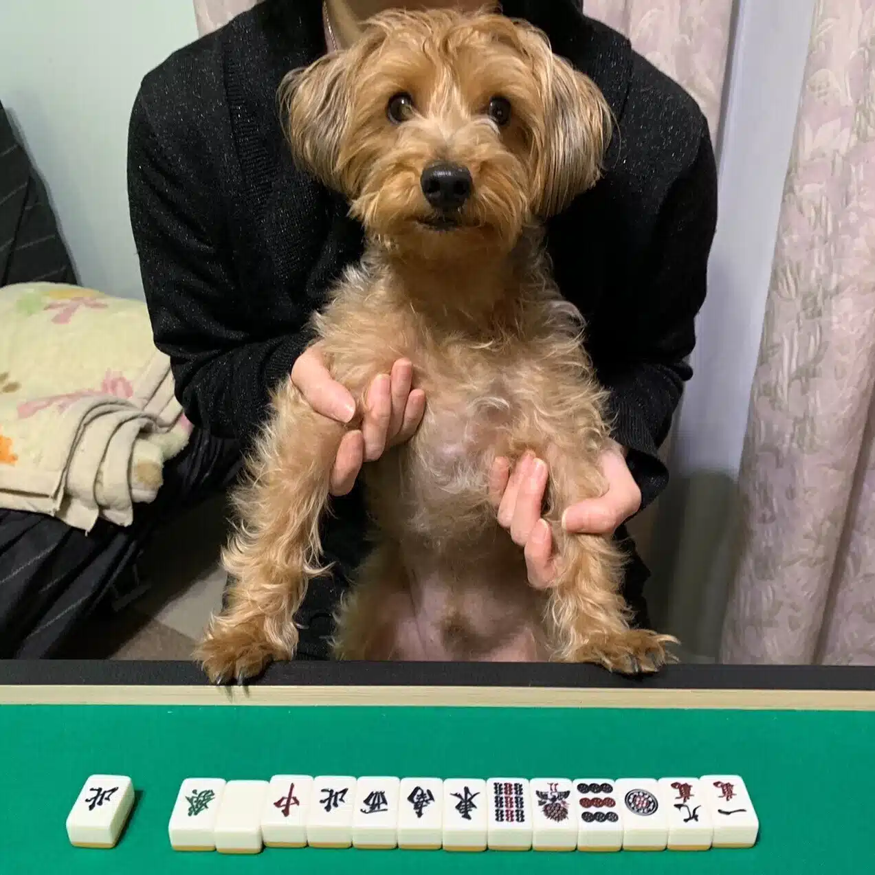 あきそる