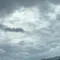 雨とともに