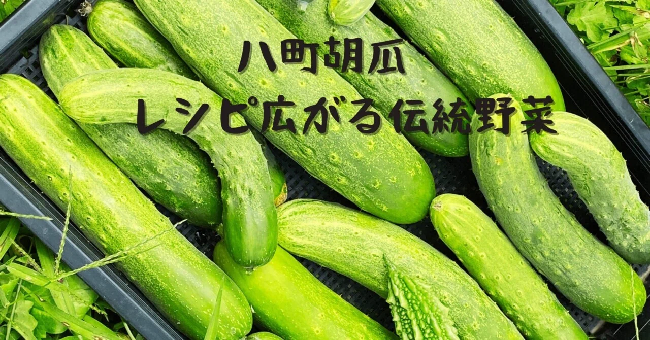 八町胡瓜 レシピの広がる伝統野菜｜日々のたね_自然とあそび、農ある