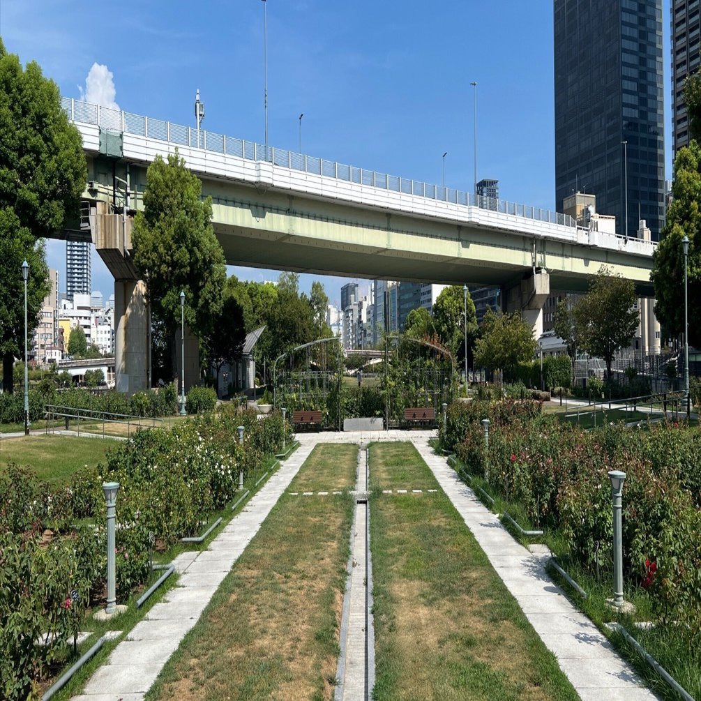 🌹薔薇マップ — 4️⃣ バラ園-東（花壇） — 中之島バラ園｜ぱぽにゃん