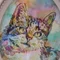 nyan