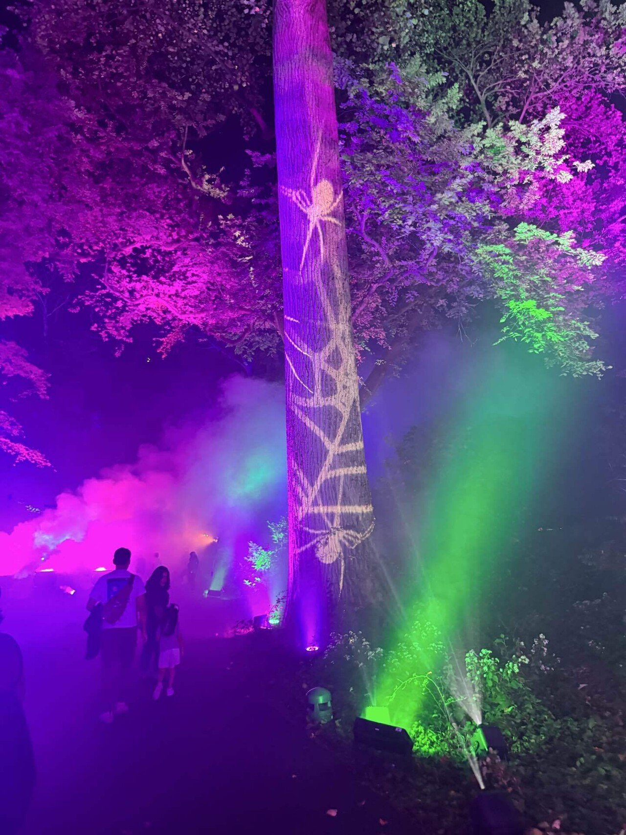 ティム・バートン ナイトメアー・ビフォア・クリスマス ツリー リース ライト ティム・バートン ナイトメアー・ビフォア・クリスマス リース ライト