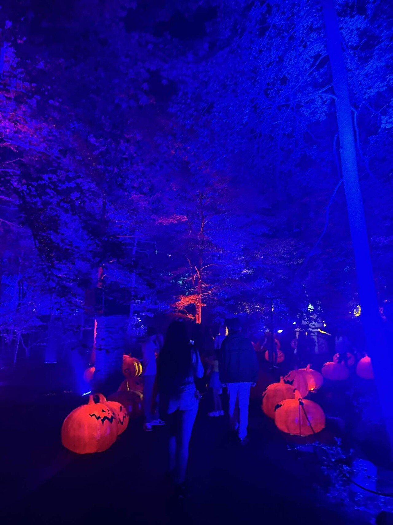 ティム・バートン ナイトメアー・ビフォア・クリスマス ツリー リース ライト ティム・バートン ナイトメアー・ビフォア・クリスマス リース ライト