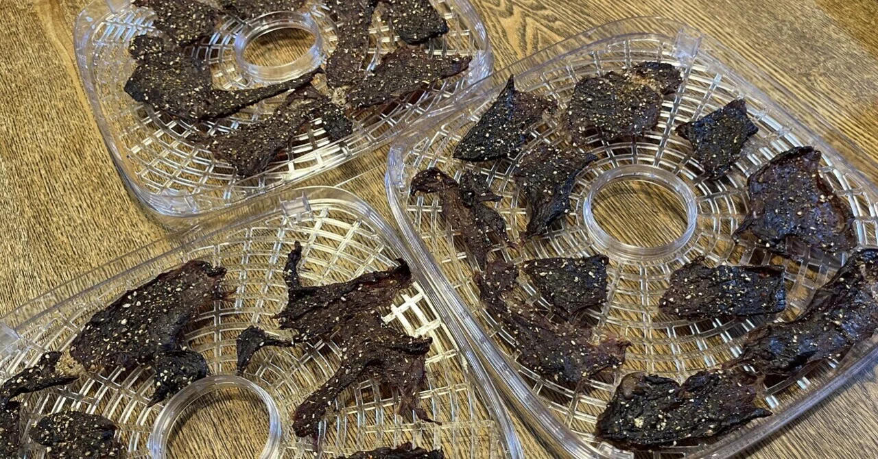 栄養価も旨みも逃がさずギュッと凝縮❣ビーフジャーキーも作れる❤フードドライヤー 自家製ビーフジャーキーも作れる「フードドライヤー」に夢中！ - 価格