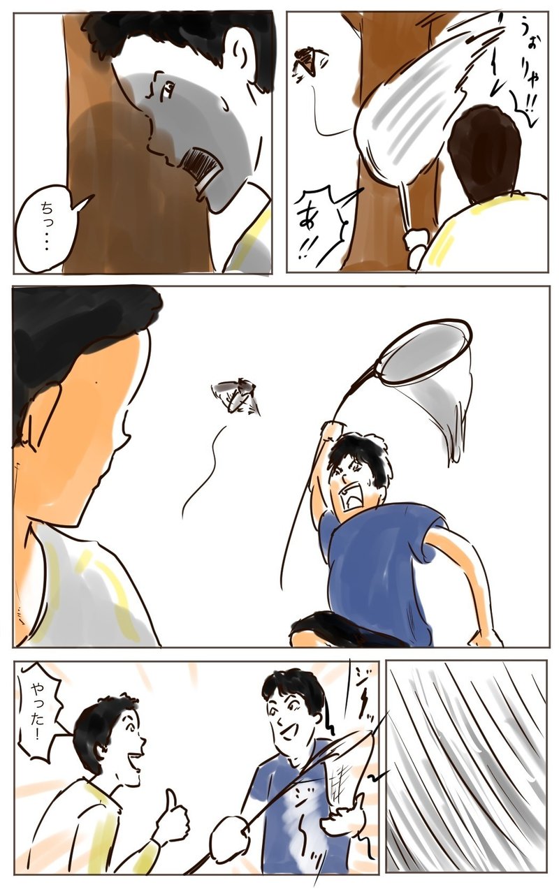 昆虫食6