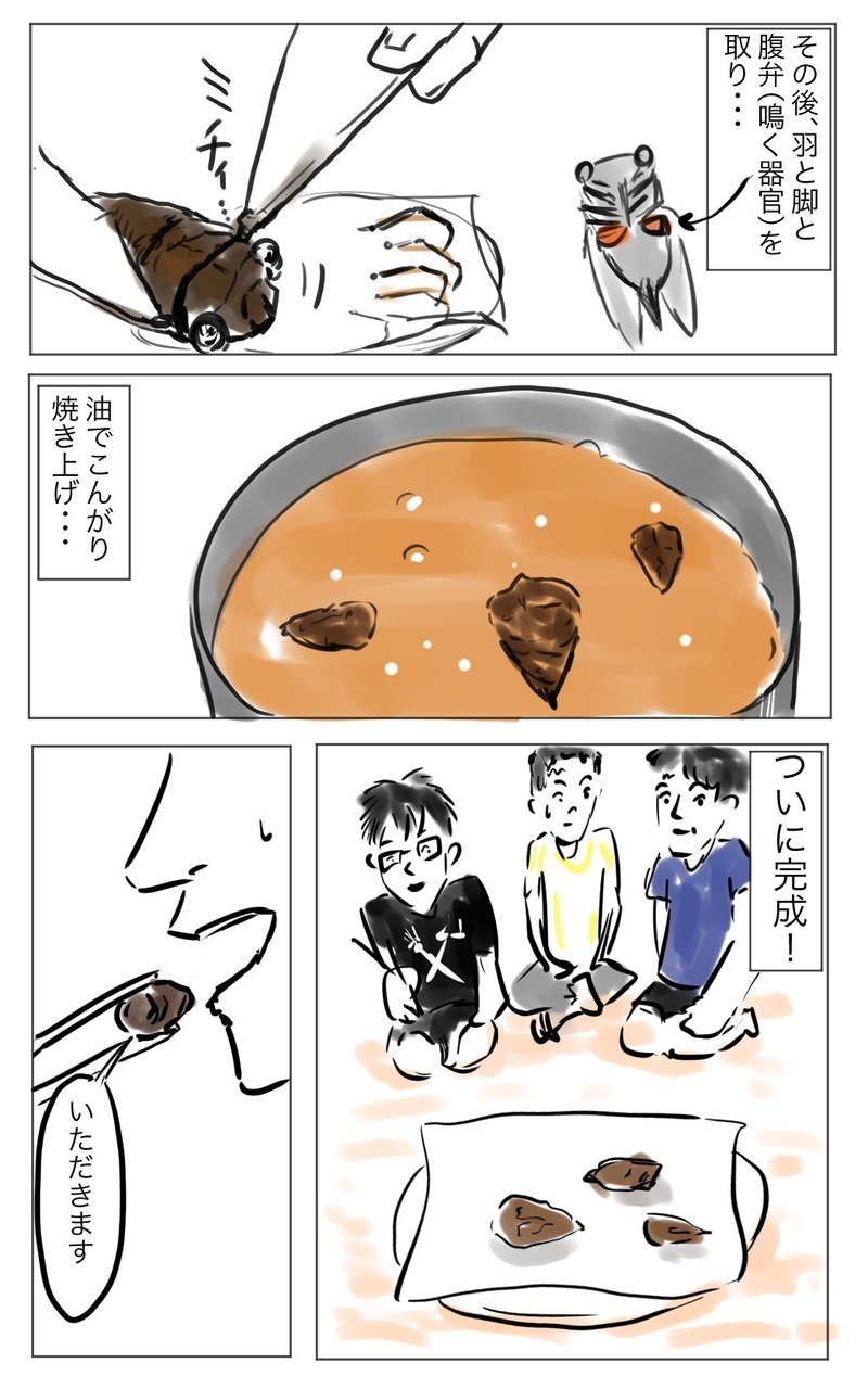 昆虫食15