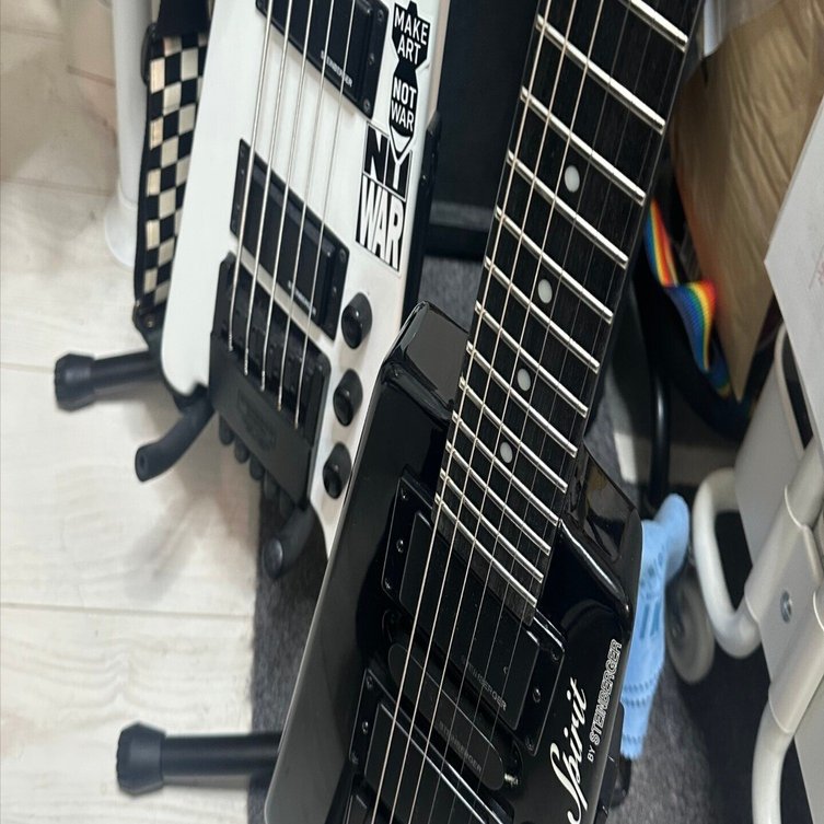 ギター・ベース紹介】Spirit by STEINBERGER｜OM from Shallow Grass