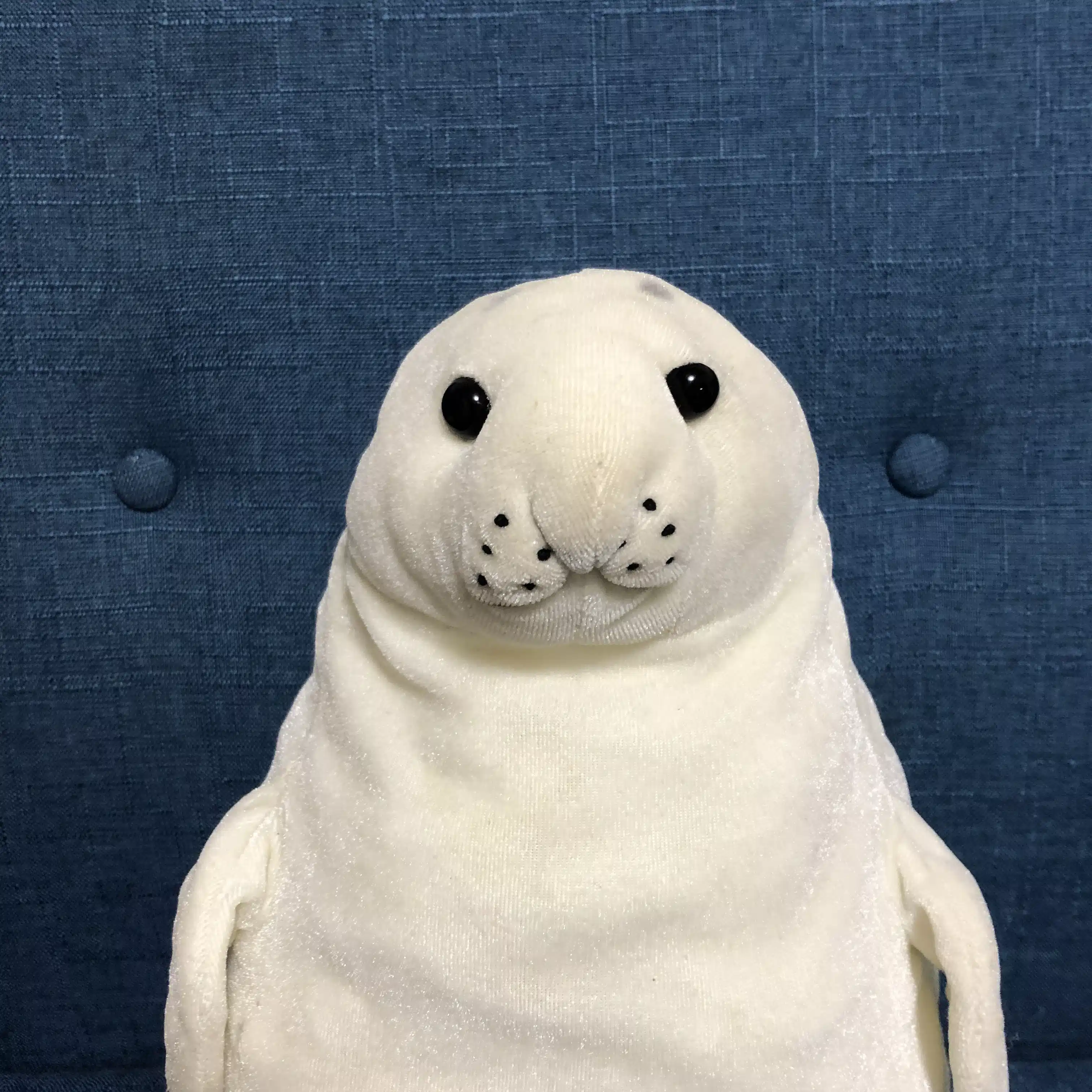 マロン　栗田