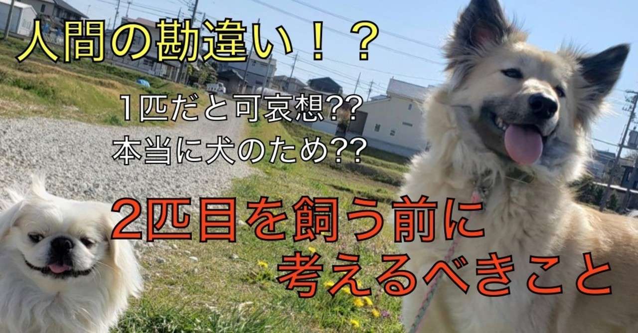 2匹目をお考えの方へ ドッグライフサポーター 獅子パパ Note