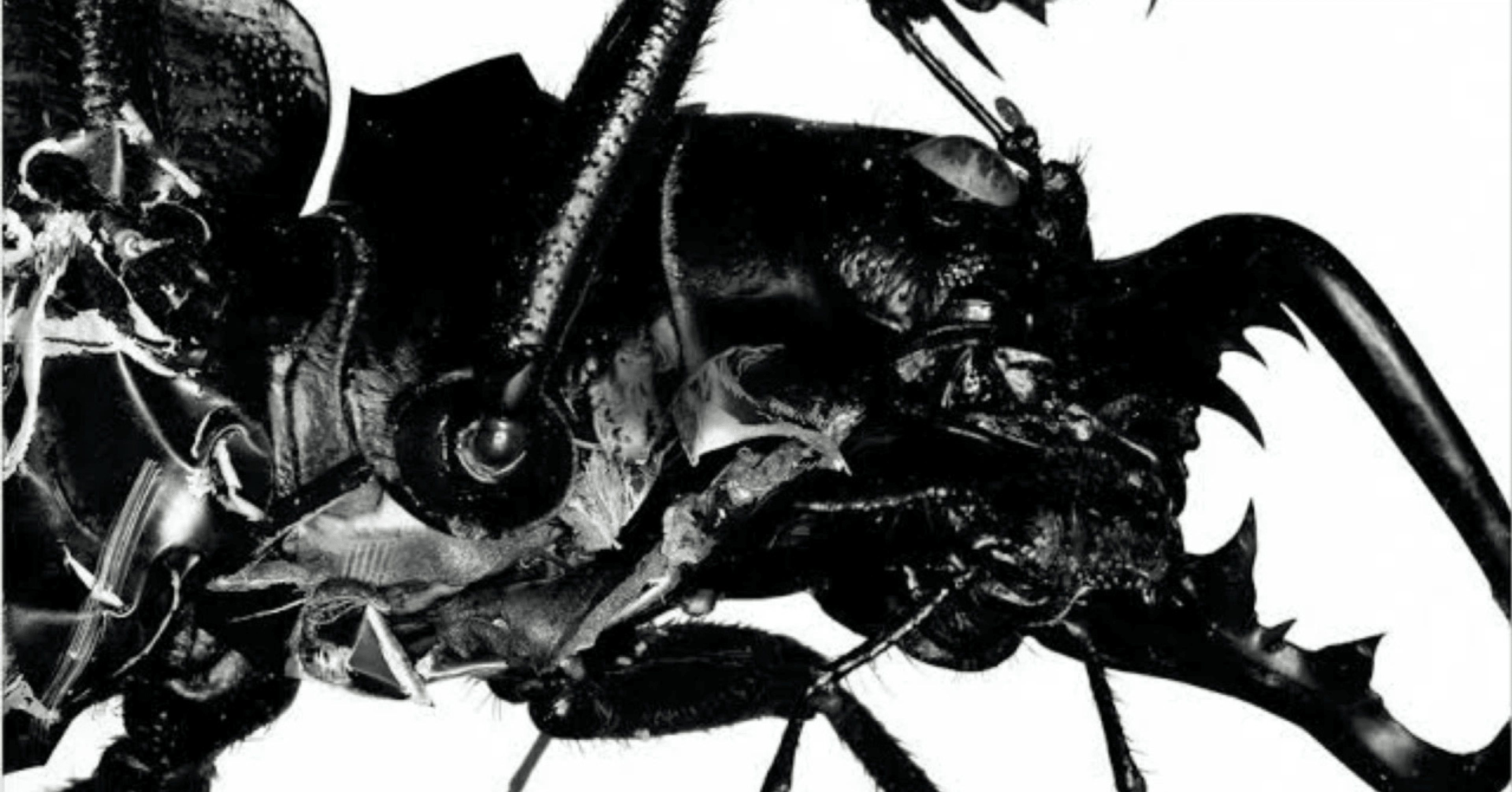 Massive Attack「Mezzanine」 07. Man Next Door｜Naja