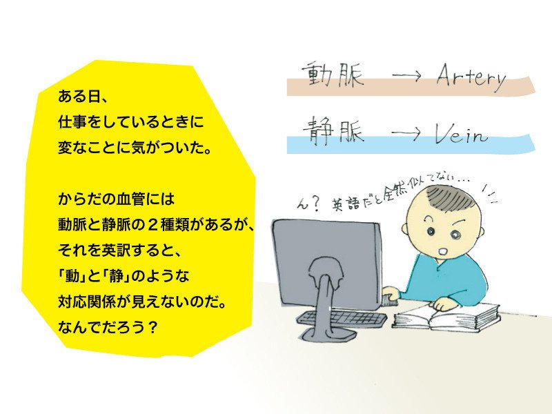 血液の循環がわかるまで まつもと じょう Note