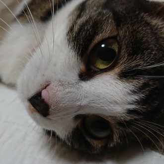 ほど なくし て