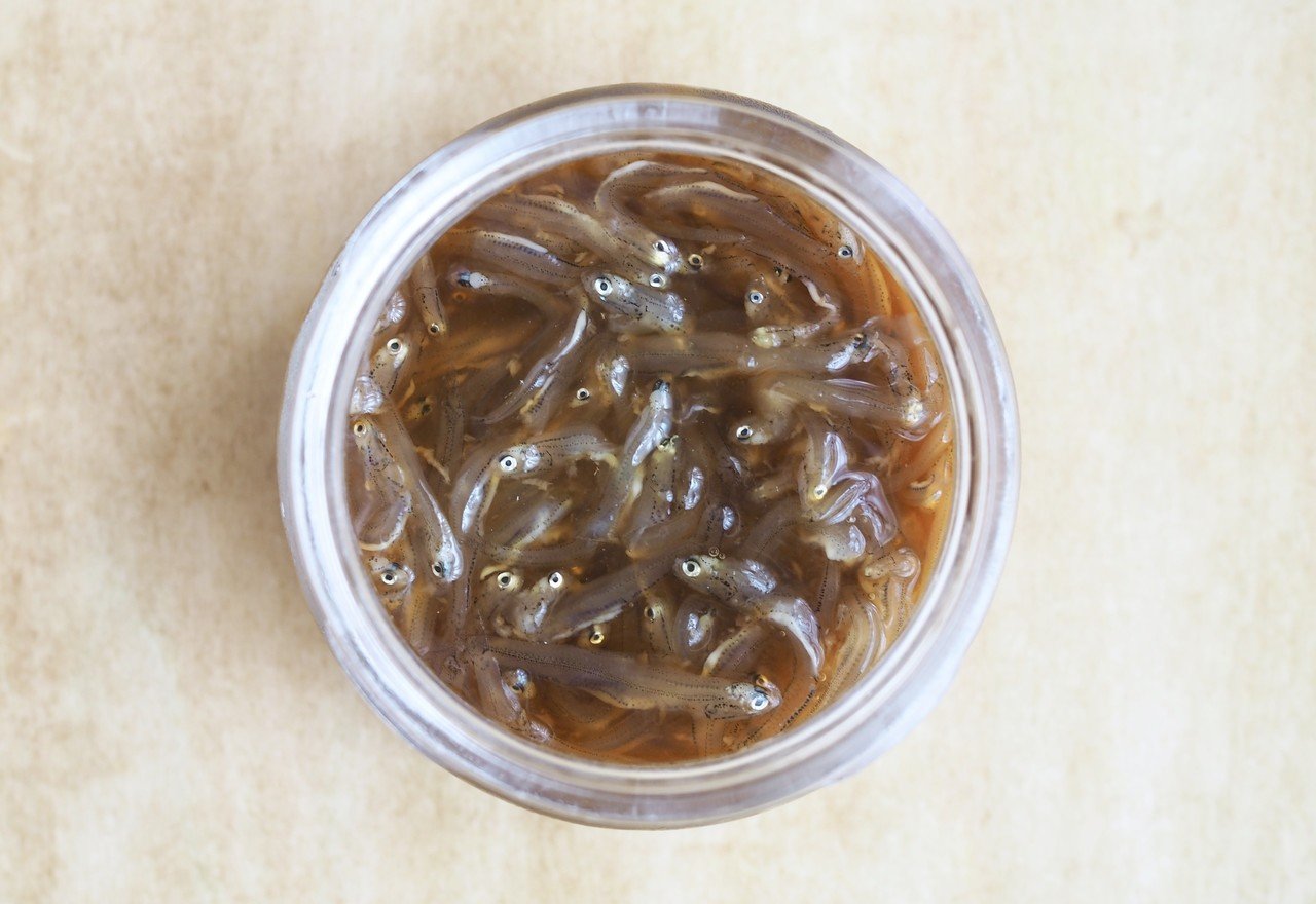 作り置きおつまみ 10 生しらすの生姜醤油漬け 真野遥 発酵室 よはく Note