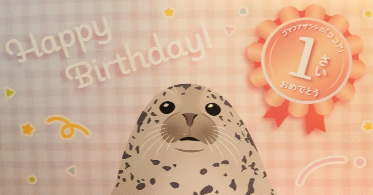 江の島のアイドル・ココアちゃんの誕生日祝ってきた｜ヒロサキ