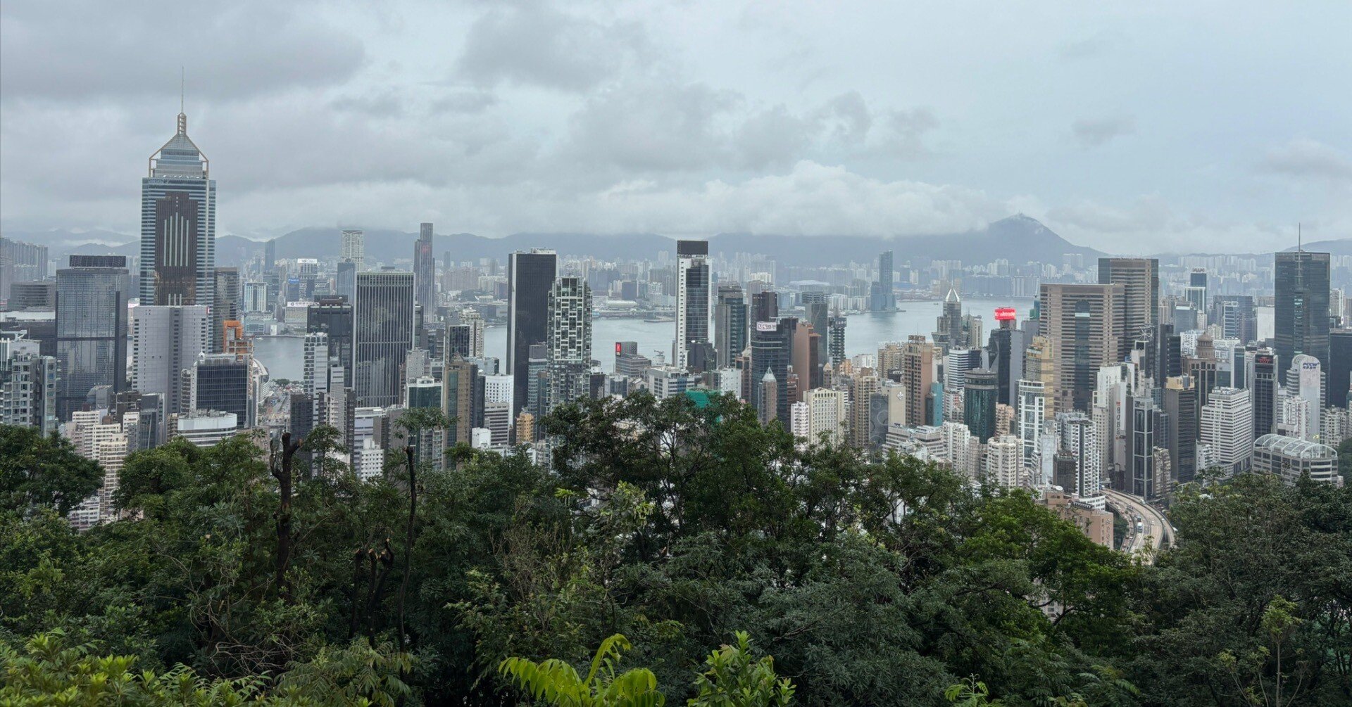 香港・深圳の「今」を見るー海外ゼミ研修｜TOKECOM note | 東京経済