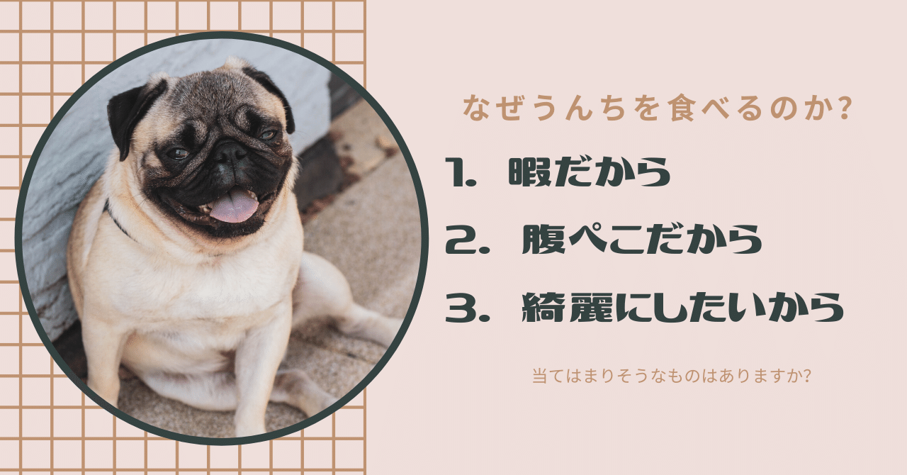 犬 トイレ シート 食べる 犬がトイレシートを食べてしまいました ロングチワワ8ヶ月メスを飼っています 犬 トイレ シート 食べる 犬がトイレシートを食べてしまいました ロングチワワ8ヶ月メスを飼っています