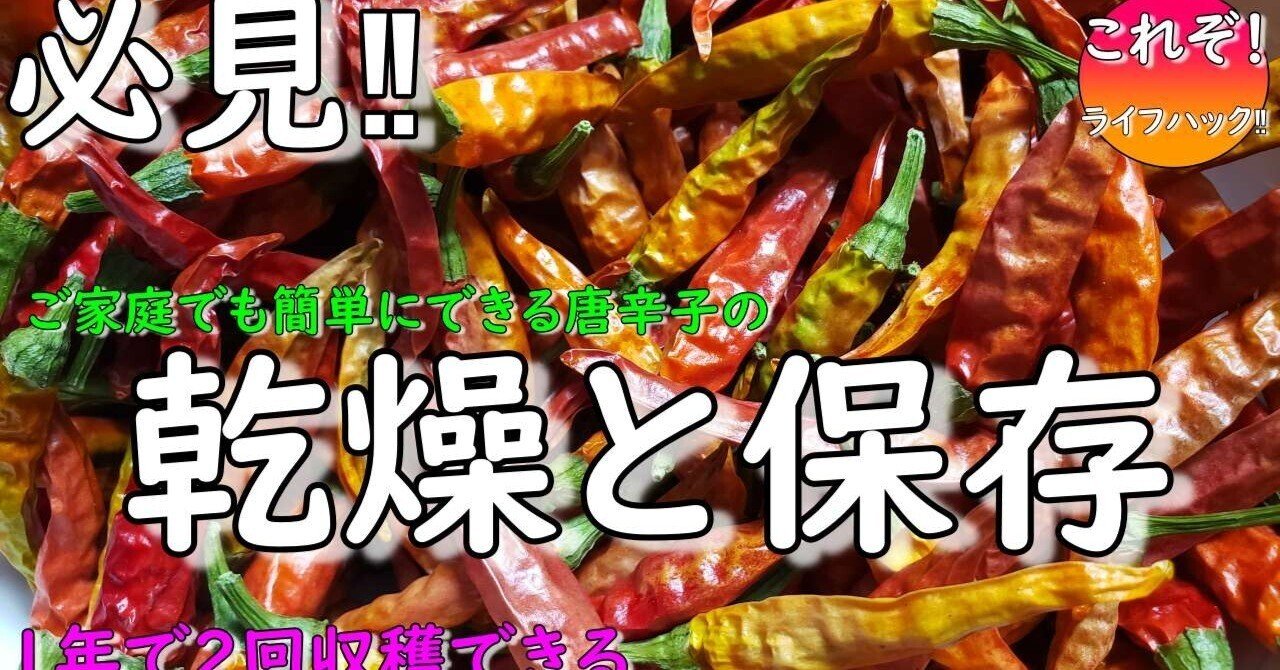 ガレージ整理。唐箕。豆の収穫後などに。 クリーントーミ F1 手動式 唐箕 とうみ 穀物選別機【送料無料