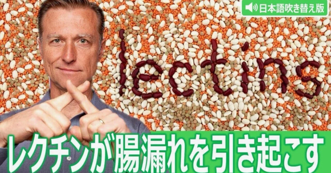 最新｜レクチンが腸漏れを引き起こす｜ドクター・バーグ