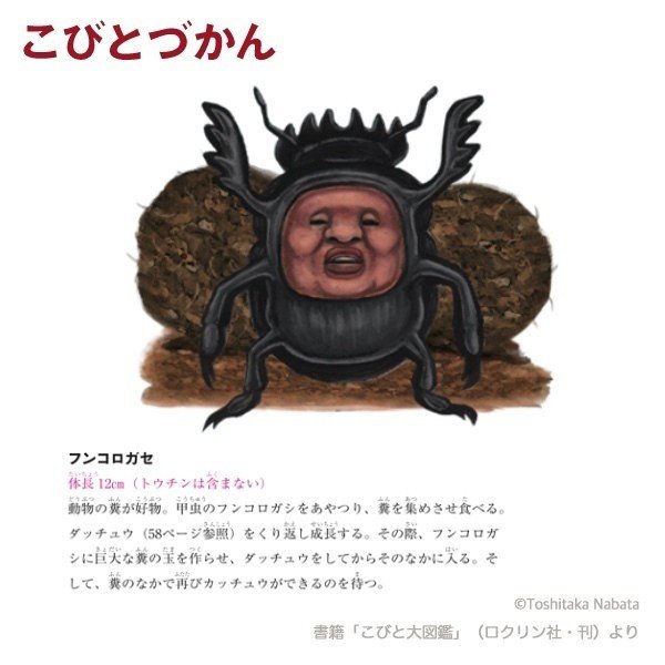 １日１コビト紹介 フンコロガセ こびとづかん公式note Note