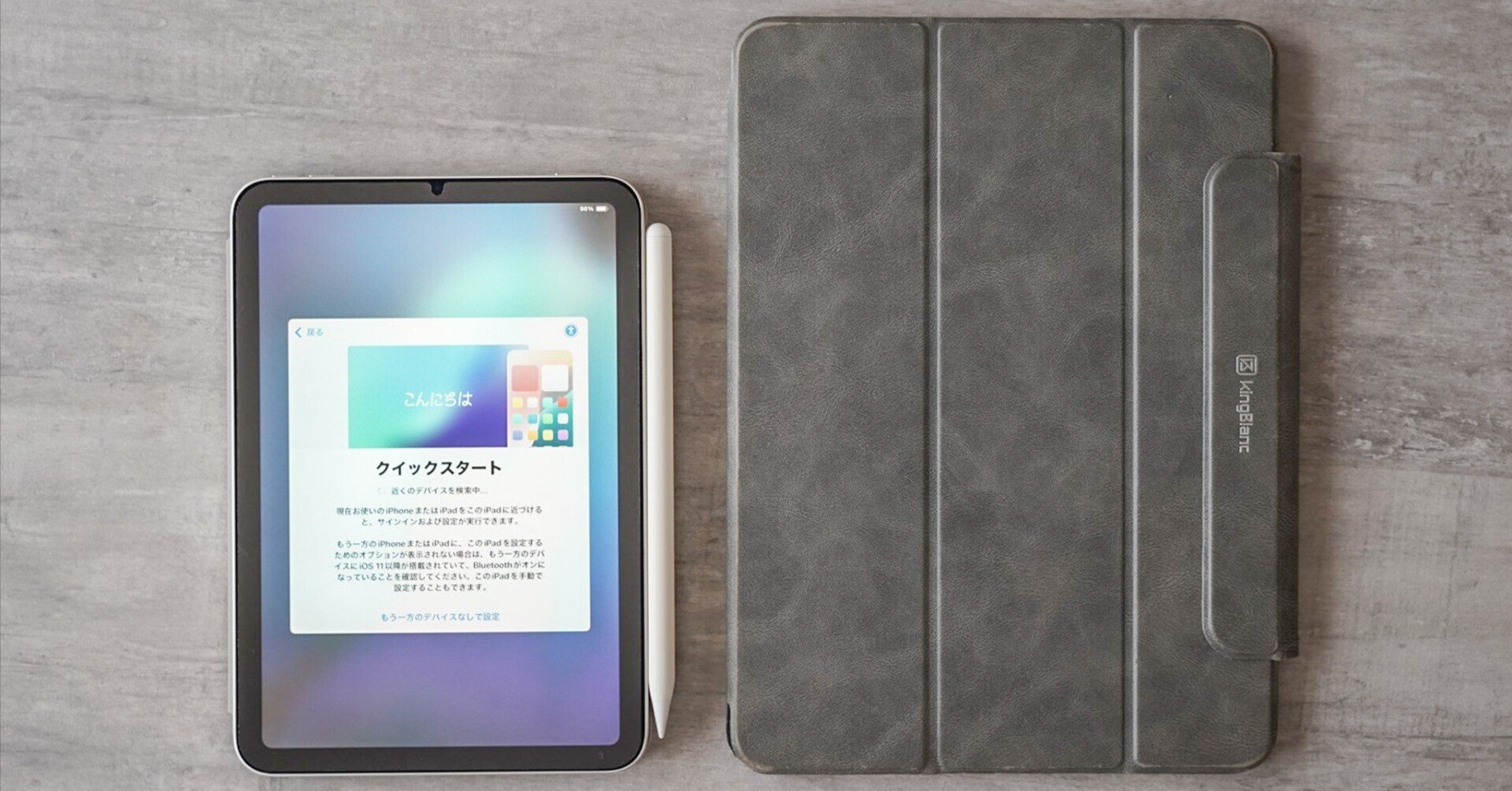 iPad mini 8.3インチ A17 Pro 256GB Wi-Fiモデル ブルー 安 …(iPad本体