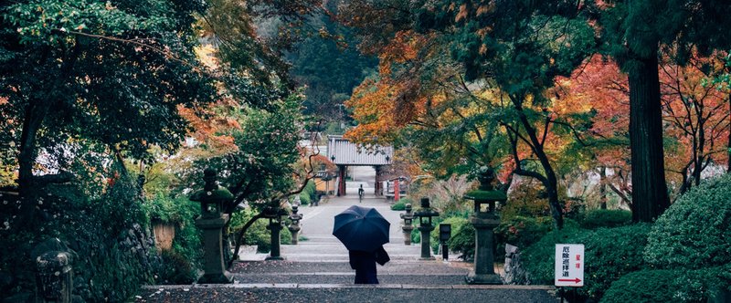 Chasing autumn in 南大阪 ~観心寺~