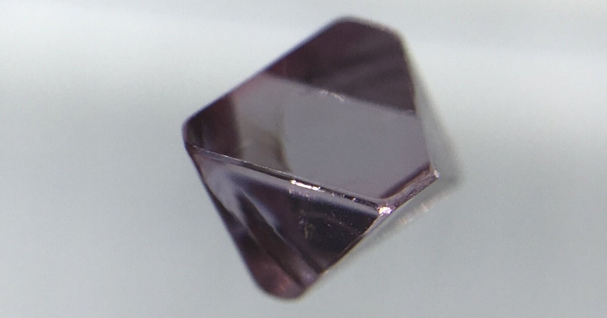 読書感想：BRUTUS(ブルータス) 2022年 6月15日号 No.963 [珍奇