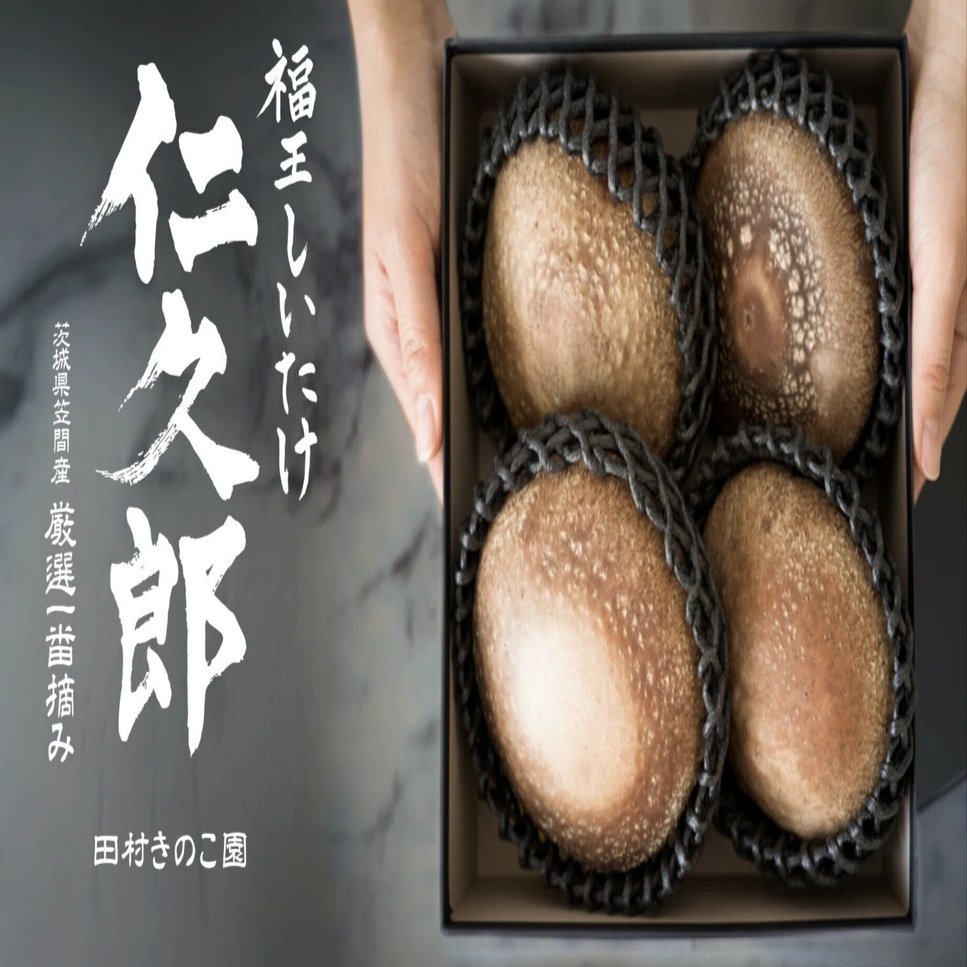 福王しいたけ「仁久郎」を発売して起こった変化｜川島ひらく