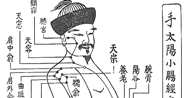 ツボシリーズ No 1 大椎 だいつい とあるはりきゅう師 Note ツボシリーズ No 1 大椎 だいつい とあるはりきゅう師 Note