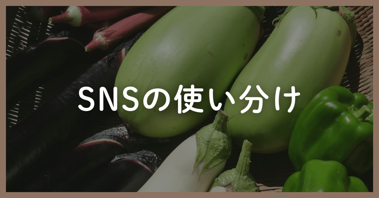 動画、音声、SNS。情報発信で試していることと、本当に大切にしたいこと｜ひじき漁師さかえる（榮大吾）