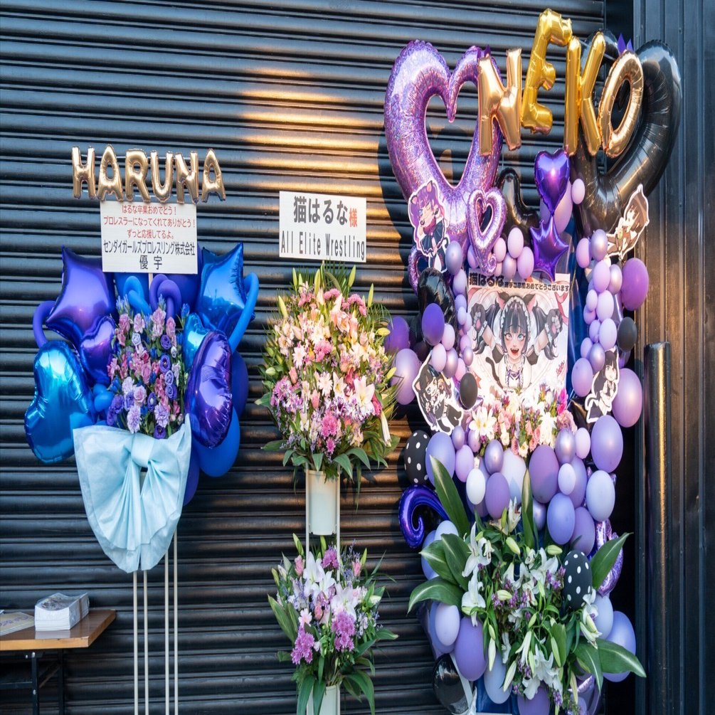 猫はるな選手ご卒業記念企画完了の御礼および収支報告｜さかやき sakayaki