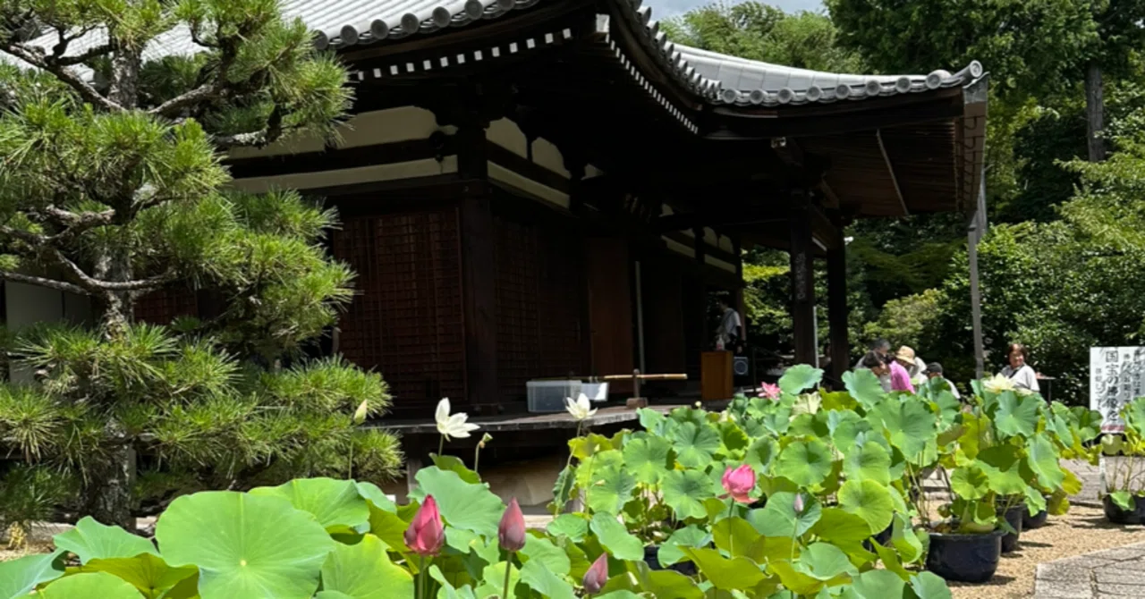 花の寺│ 極楽浄土を思わせる「蓮の寺」法金剛院｜大福と綴る