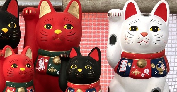 佐原張子（千葉県・香取市）_20190209｜渡部剛｜go watabe