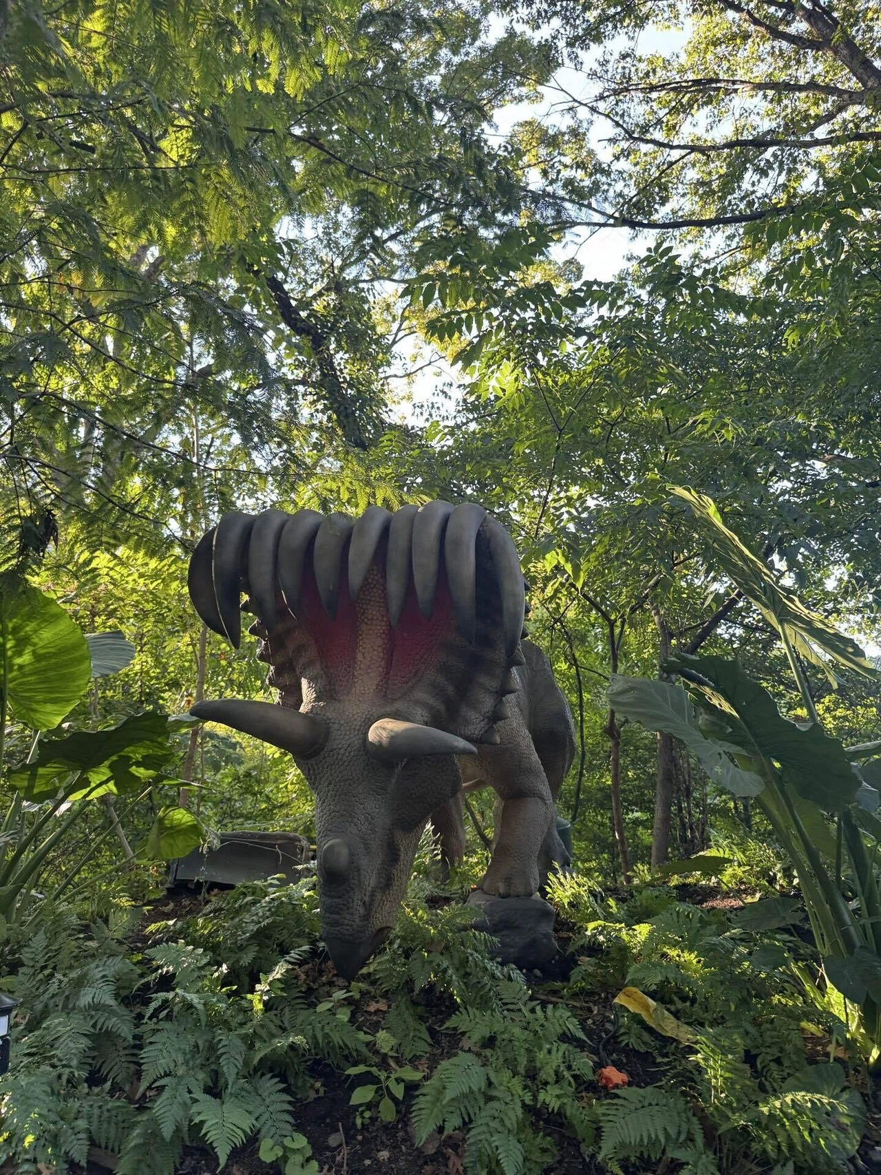 ニューヨークで毎日困ってます】モノレールとダイナソーサファリ