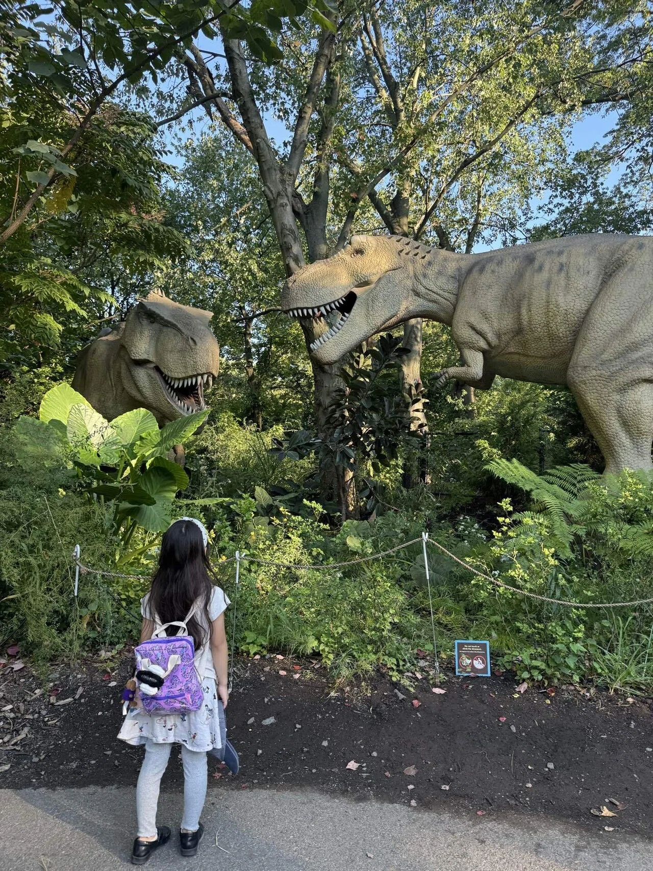 ニューヨークで毎日困ってます】モノレールとダイナソーサファリ