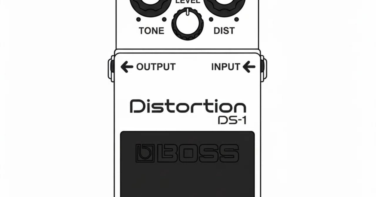 Boss DS-1 ｜S (Varelser)