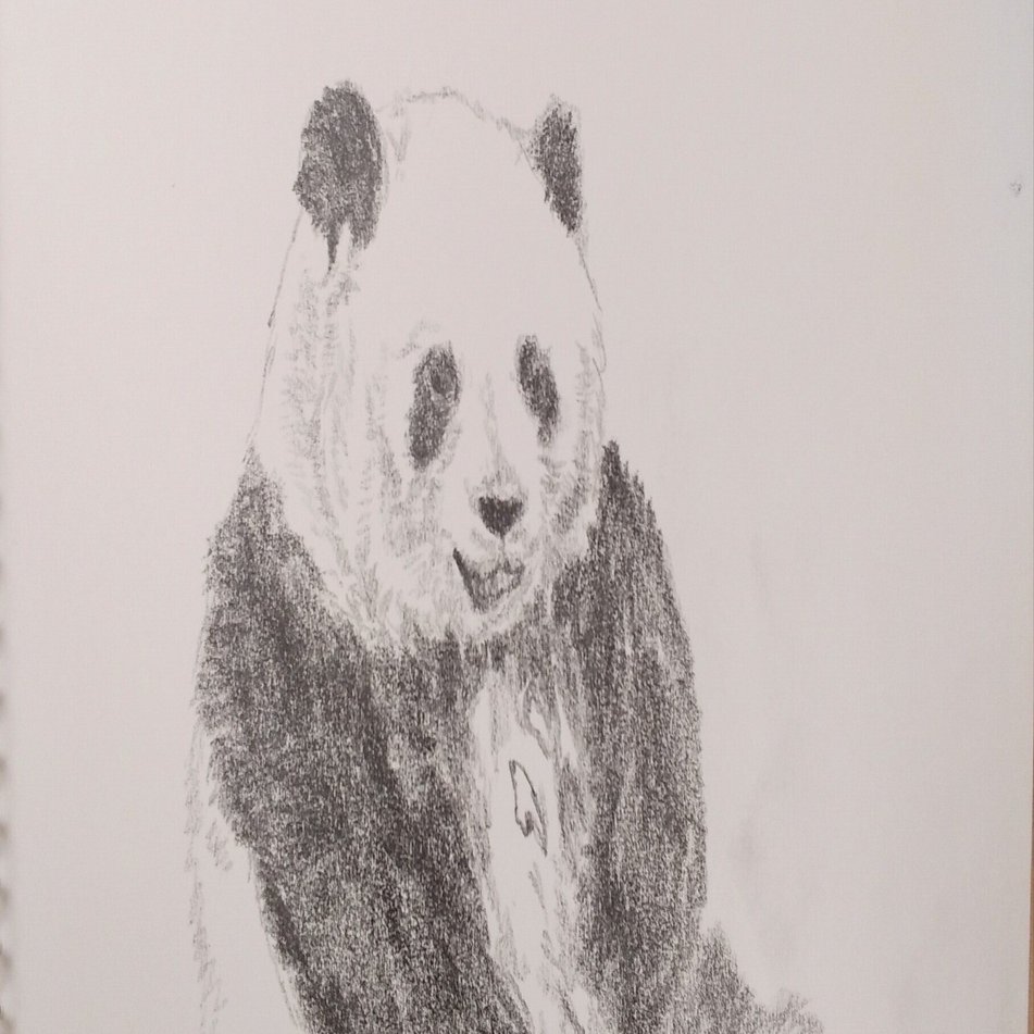パンダデッサン練習第23週 9/28-10/4｜こひろ@こぎん刺しのテディベア
