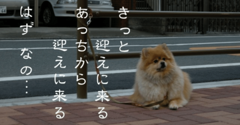 スカウトサイトの使い方でみるエージェントの特徴 eyecatch