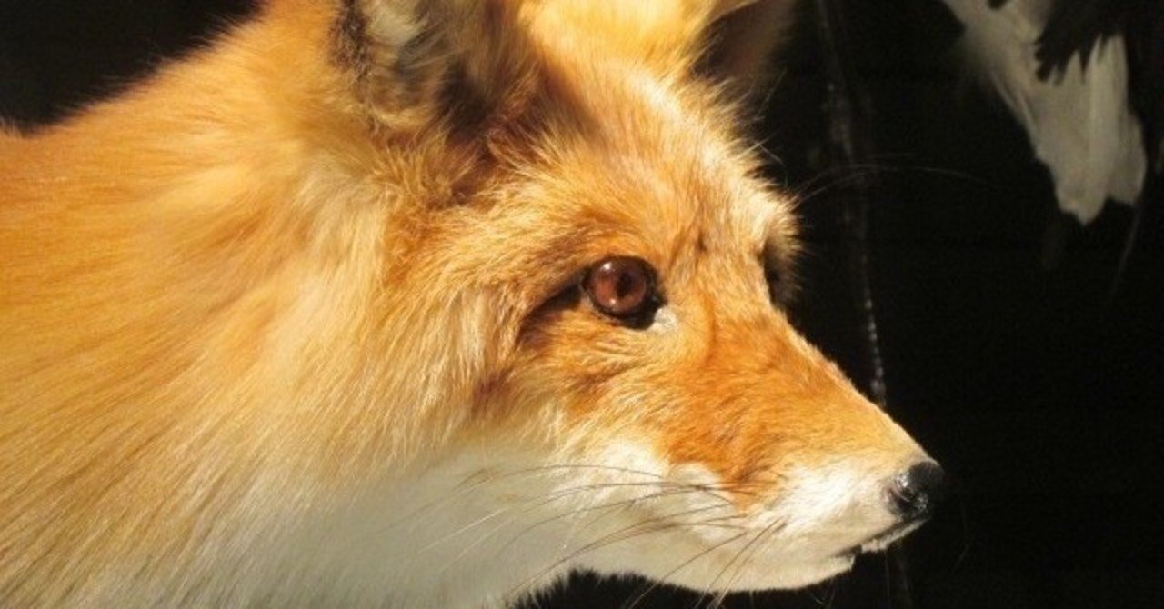 狐笛のかなた にゃる Note