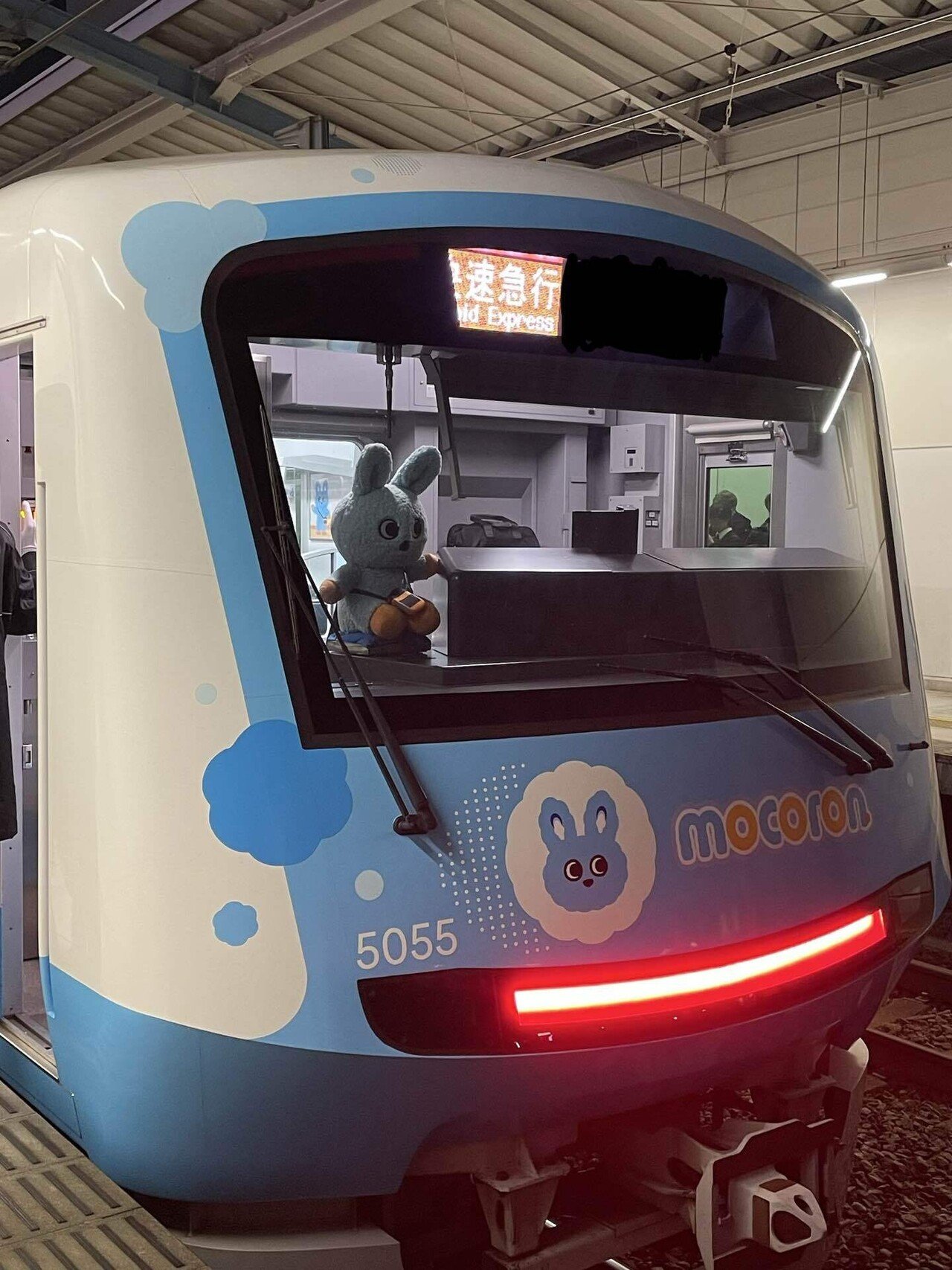 日常生活で、気分をパッと明るくしてくれる存在ってありますか