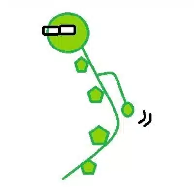 ユーカリノ