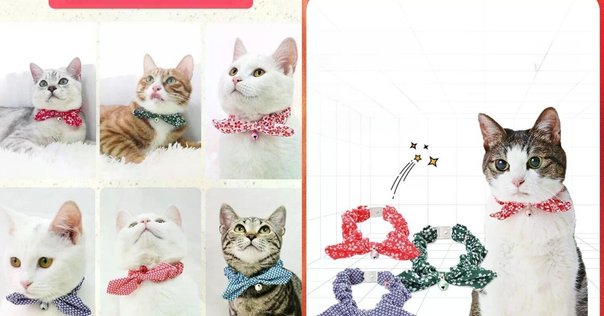 ねこ インテリアとしてもインパクト抜群！三日月型のかわいすぎる猫