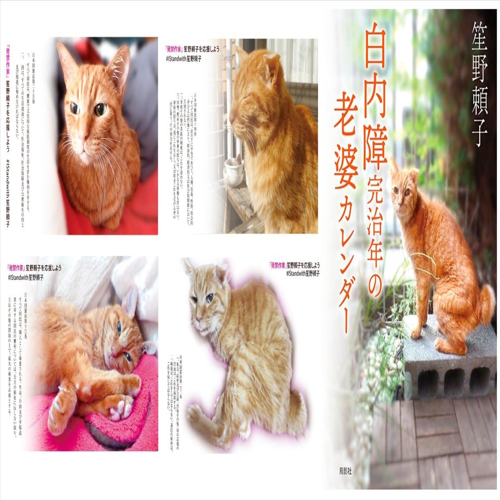 笙野頼子「親はＩＭＦペットはビットコイン、ライバルはヒル・ゲイツ、——そんなお金の精、ひょうすべの一日」（前編）｜鳥影社