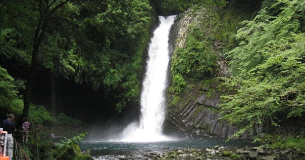 女流俳人 長谷川かな女 洋画家 伊藤慶之助 画 芥子 肉筆掛軸 しみあり 若尾文子の映画 「華岡青洲の妻」 有吉佐和子の同名小説の映画化