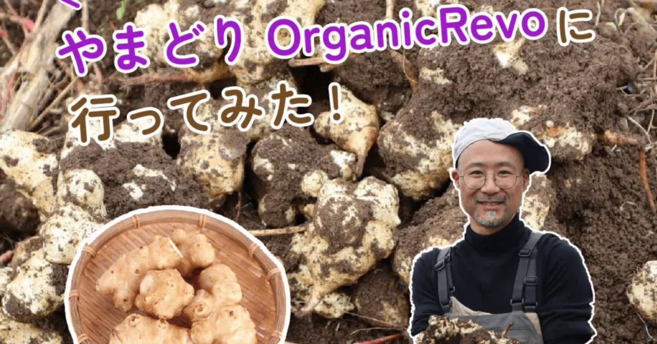 あんしんの品質と栽培技術を未来へ！循環型農業で菊芋を栽培するやま