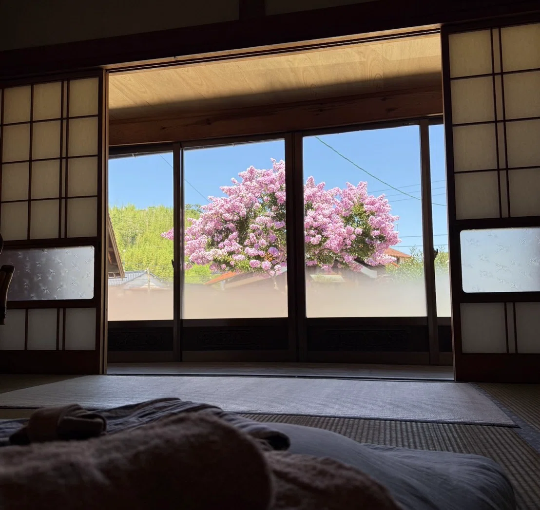 iSOYAのサルスベリ｜RUANG DESIGN