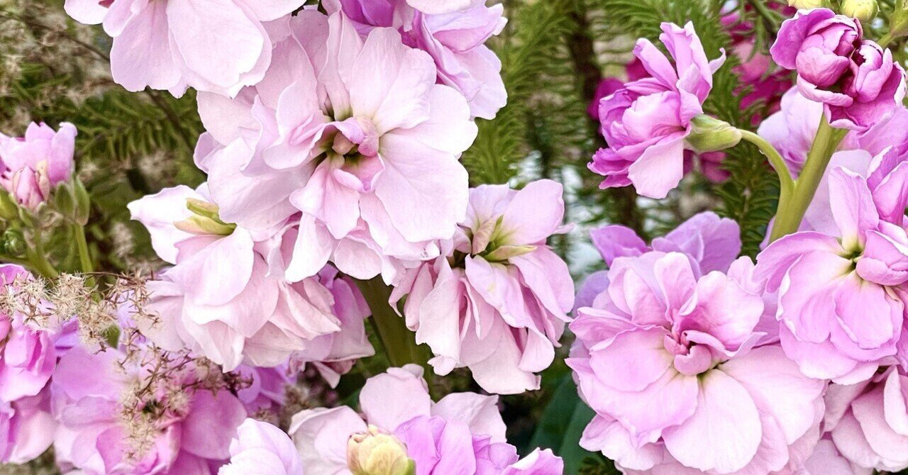 角野隼斗さま ×『What a Wonderful World』──そして『CHOPIN ORBIT