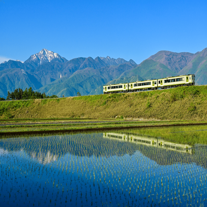 豊穣のある景色を探しに｜ぶるーぱーる