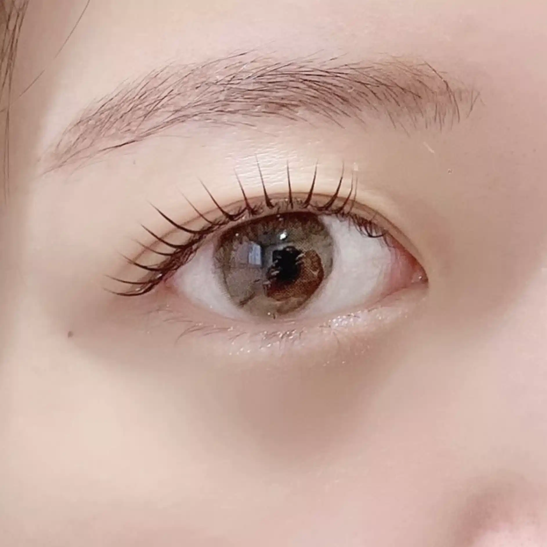 LuLu aiko