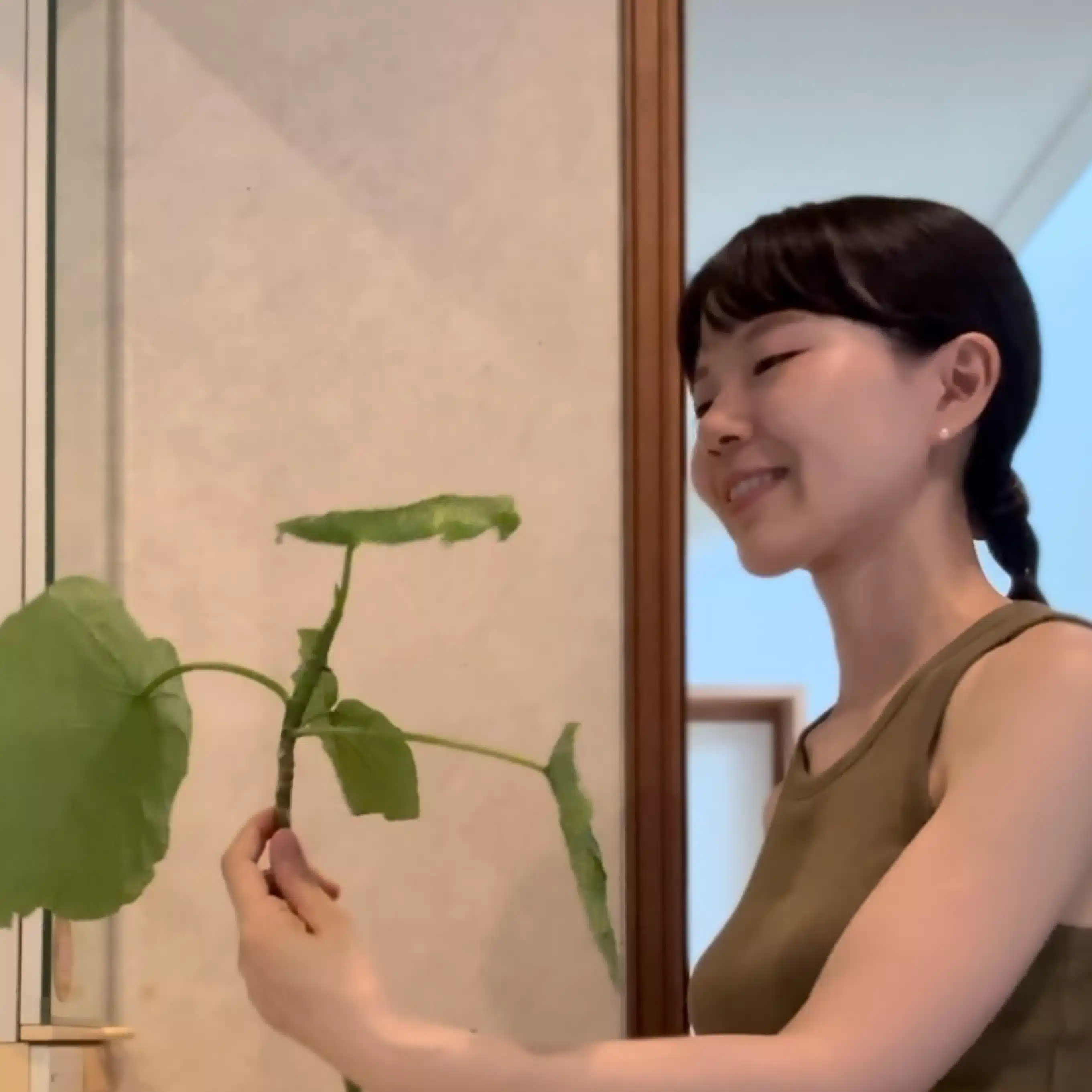 あさ